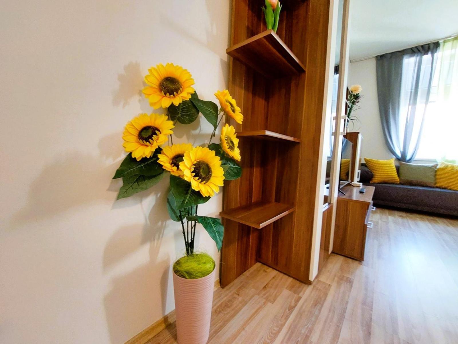Apartment Csa #5 In The Historic Center ฮราเดตสคราโลเว ภายนอก รูปภาพ